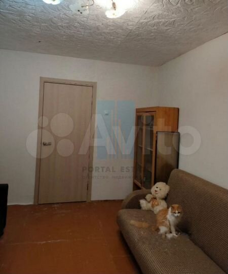 2-к. квартира, 43,6 м², 1/3 эт.