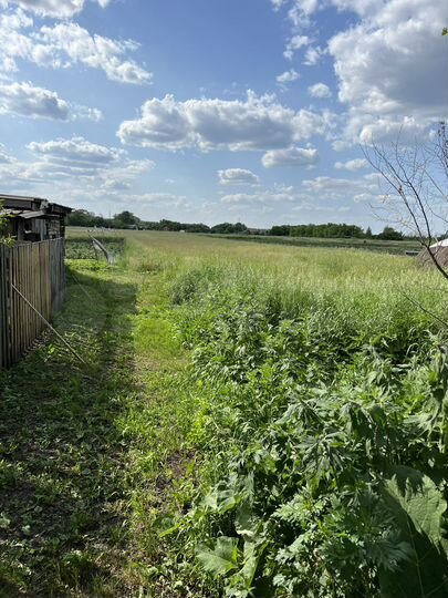 Участок 35 сот. (ИЖС)