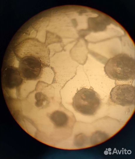 Экспертиза. Анализ металла химический спектральный