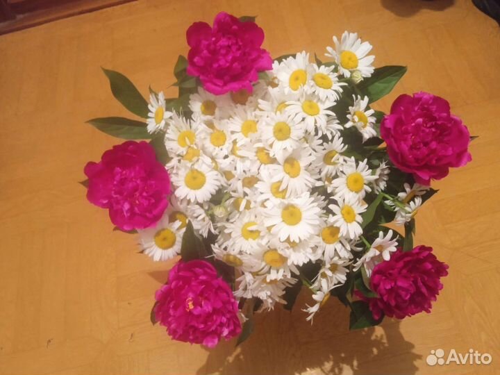 Ромашка (букет, композиция из садовых цветов)