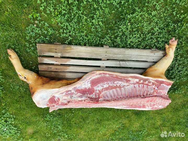 Полутуша свинины фермерское мясо