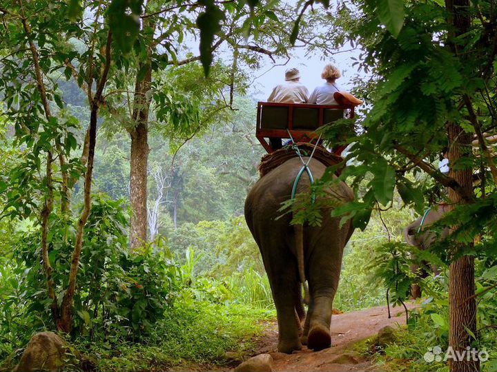 Экскурсия — Самуи — Рай В Сиамском Заливе