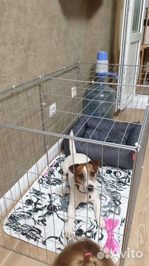 Вольер для собак с доставкой 120*60см арт#0177