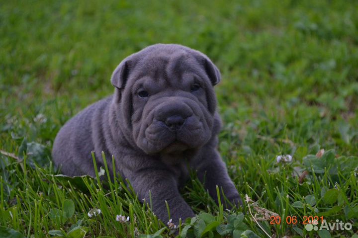 Самые красивые