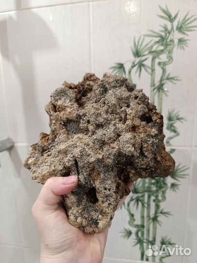 Аквариум морской