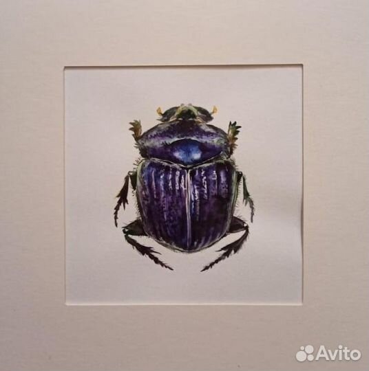 Картина акварель жуки