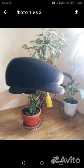 Меховая кепка