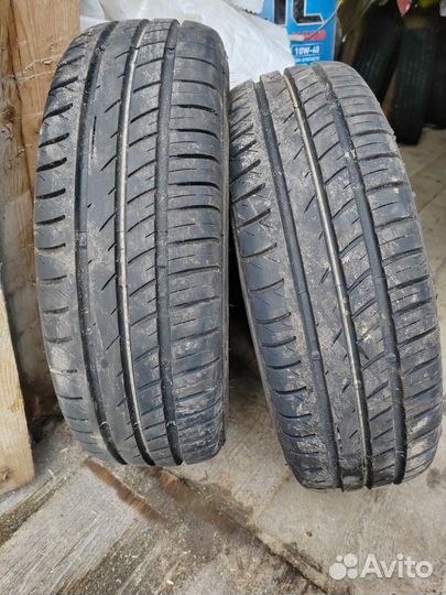 Viatti Vettore Inverno V-524