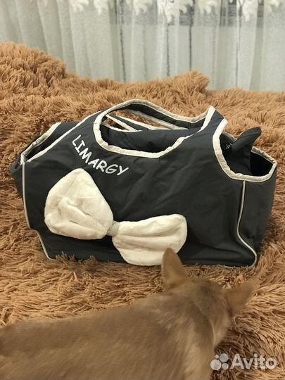 Переноска сумка зимняя для собачек