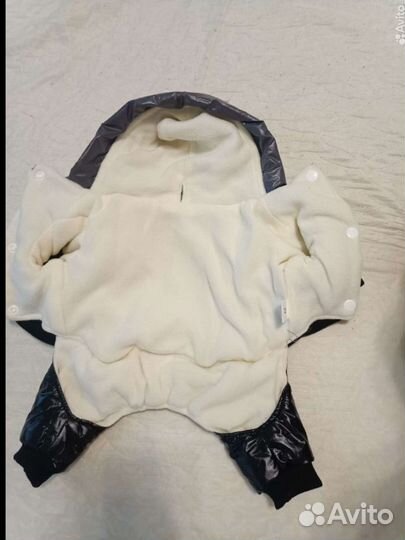 Одежда для собак мелких пород