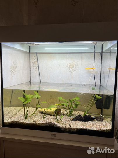 Аквариум Juwel Lido 120