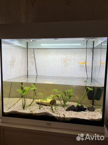 Аквариум Juwel Lido 120