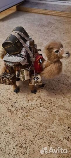 Верблюд навьюченный