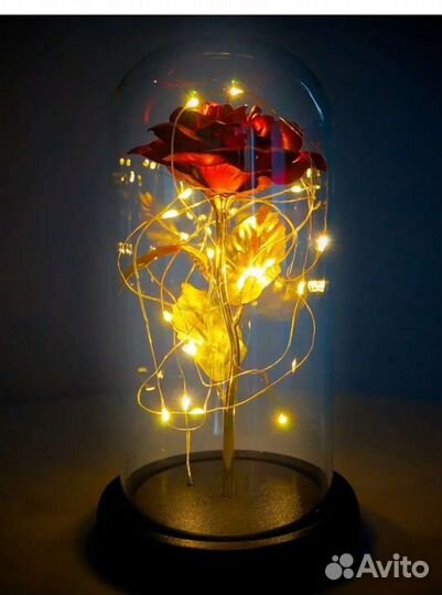 Роза (букет) в колбе