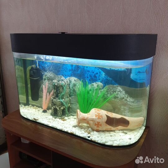 Аквариум 100л