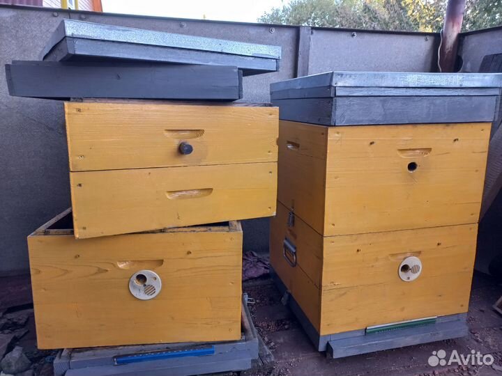 Продаю ульи