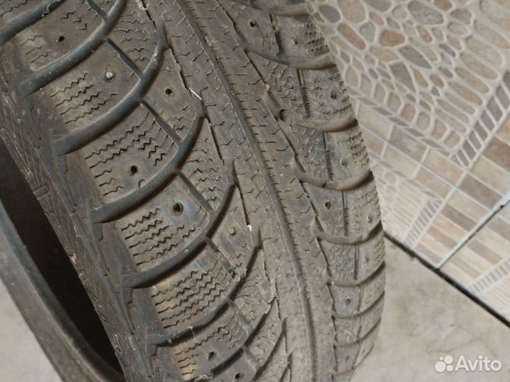 Nord Wolf Cargo 195 R15