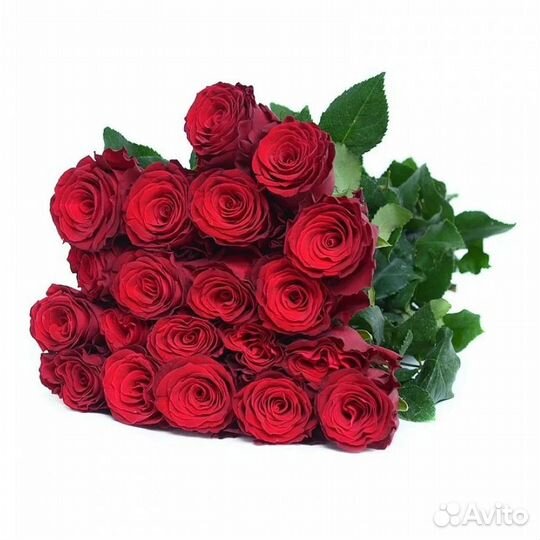 Букет из роз Красных Премиум 60 см (11-101)