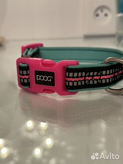 Амуниция для собак