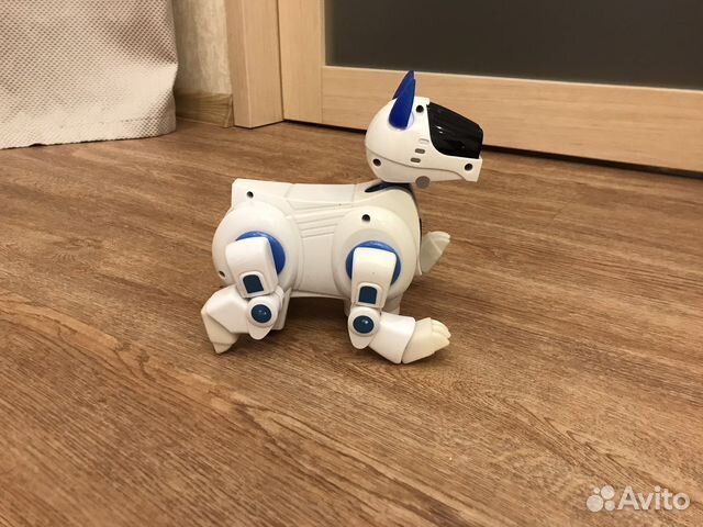 Собака-робот