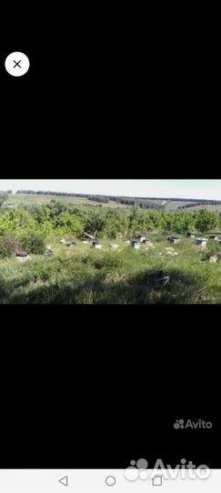 Улъя, рамки, магазины. Воск