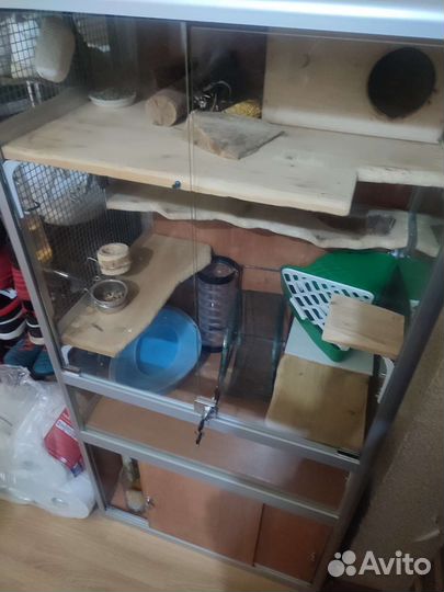 Витрина/клетка для шиншилл и грызунов бу