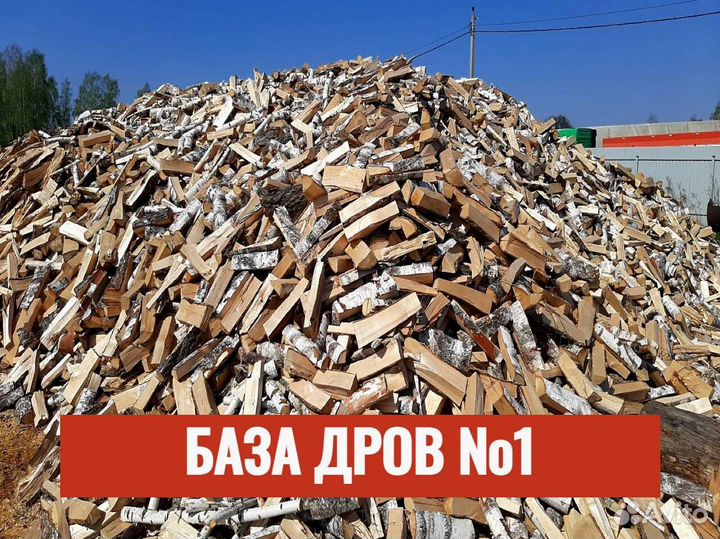 Дрова дуб