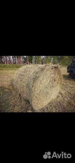 Сено в рулонах