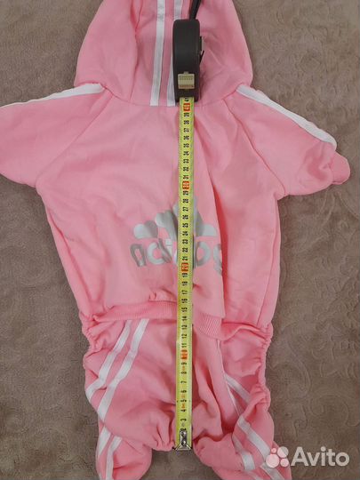 Костюм для собаки