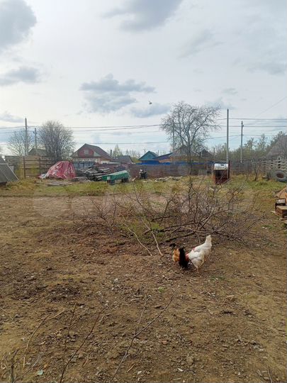 Участок 15 сот. (ИЖС)