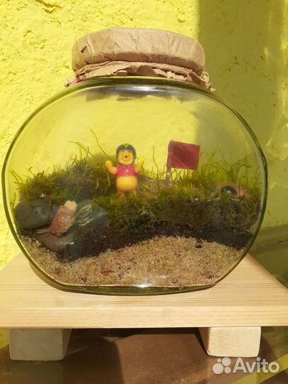 Флорариум. Замкнутая экосистема. Подарок