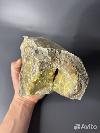 Часть септарии