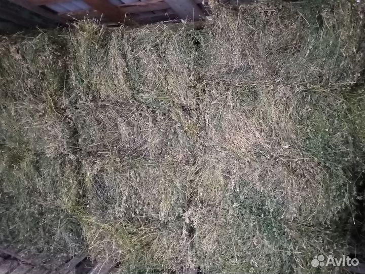 Сено в тюках