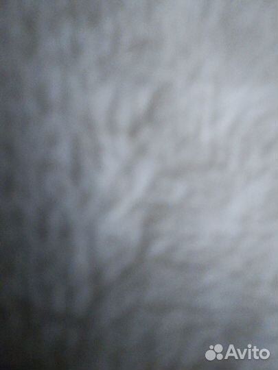 25 Дед Мороз, Бременские музыканты