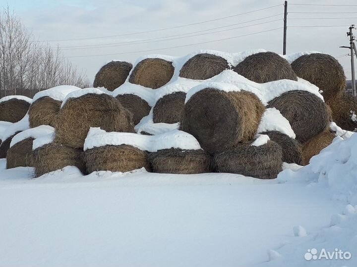 Солома в тюках