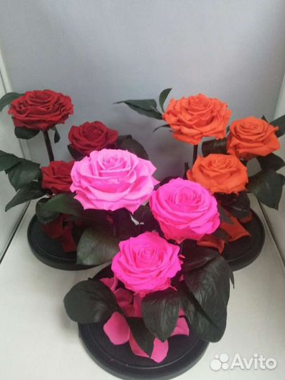 Роза в колбе оптом и в розницу