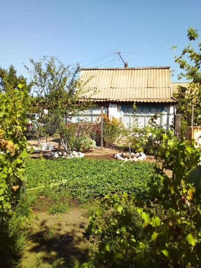 Участок 6 сот. (СНТ, ДНП)