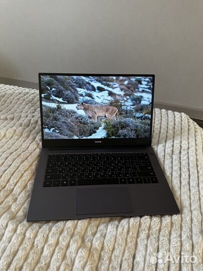 Ноутбук huawei matebook d 14