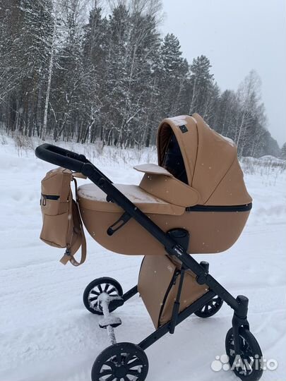 Коляска Anex e type 3 в 1