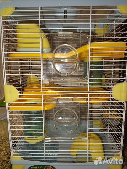 Клетка для грызунов