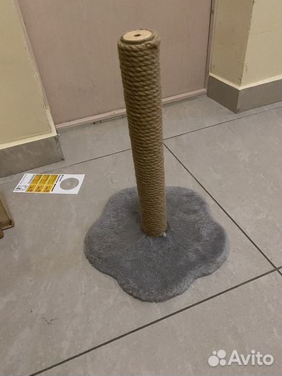 Когтеточка