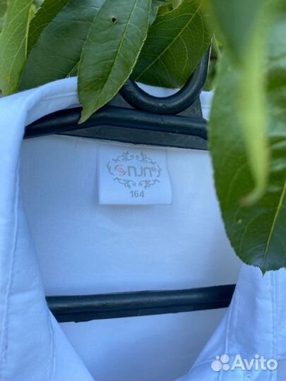 Рубашка школьная 158