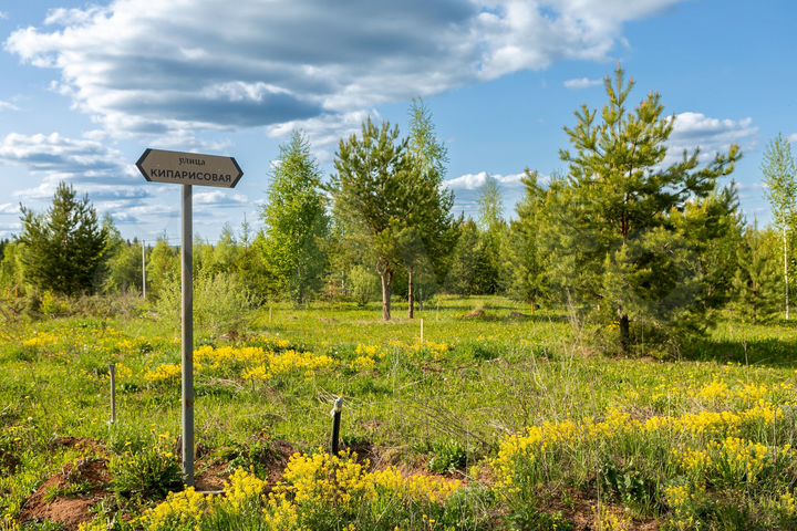 Участок 11,3 сот. (ИЖС)