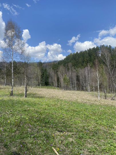 Участок 13,5 га (СНТ, ДНП)