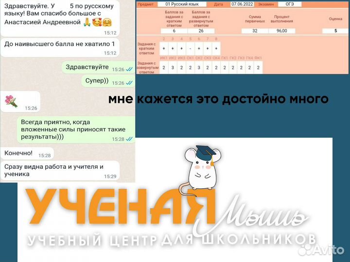Репетитор по русскому языку и литературе егэ огэ
