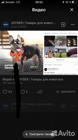 Шлейка для средней собаки