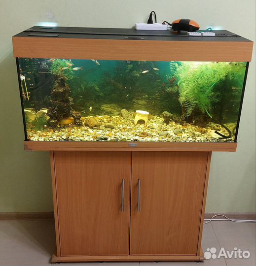 Аквариум