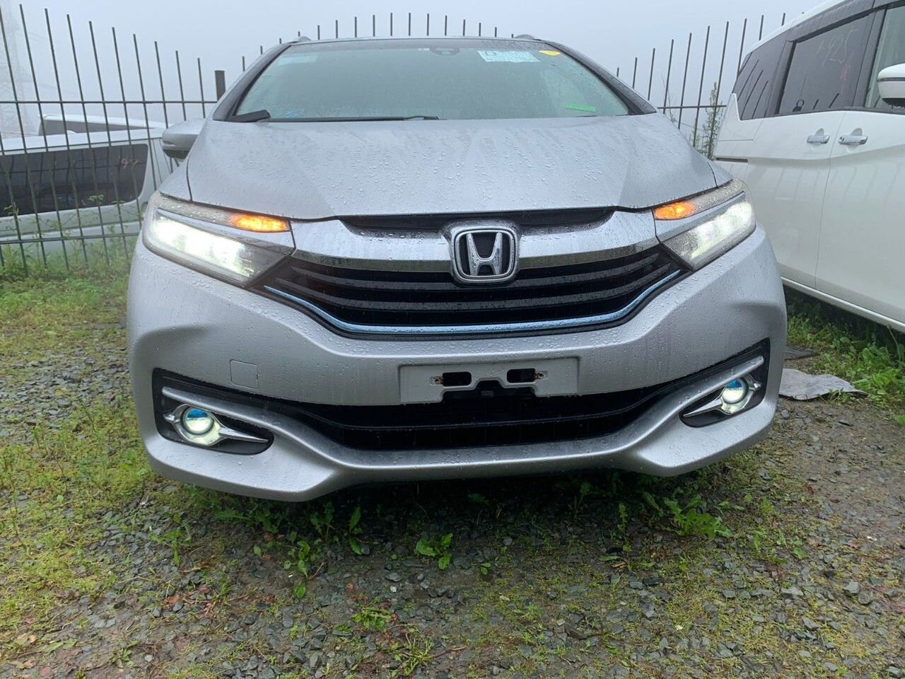Honda Shuttle: фото владельца