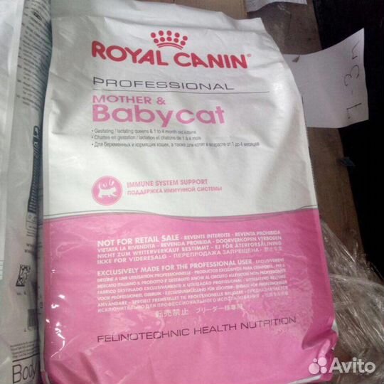 Корм для котят роял канин