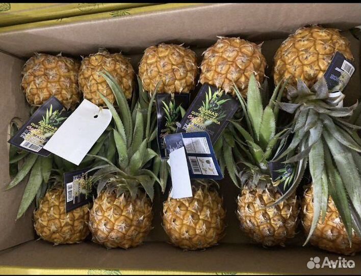 Мини ананас сладкий
